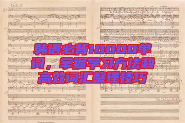 韓語必背10000單詞，掌握學(xué)習(xí)方法和高效詞匯整理技巧