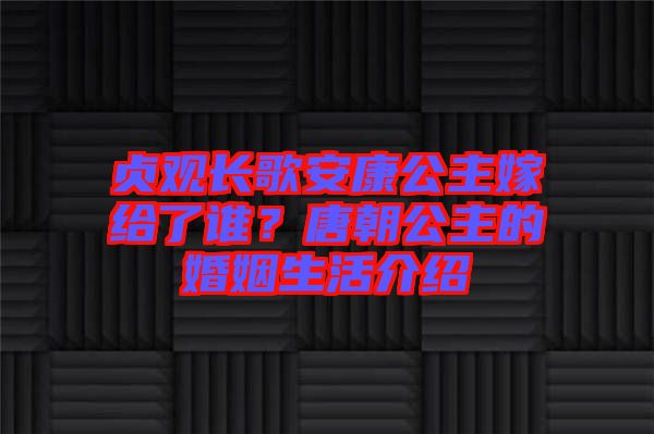 貞觀長(zhǎng)歌安康公主嫁給了誰？唐朝公主的婚姻生活介紹