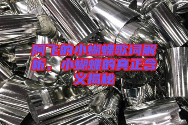 阿飛的小蝴蝶歌詞解析，小蝴蝶的真正含義揭秘