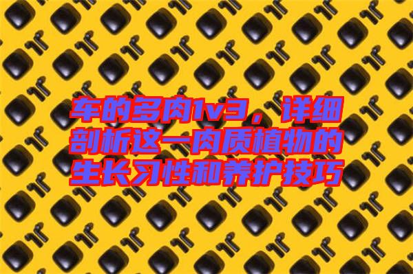 車的多肉1v3，詳細(xì)剖析這一肉質(zhì)植物的生長習(xí)性和養(yǎng)護(hù)技巧