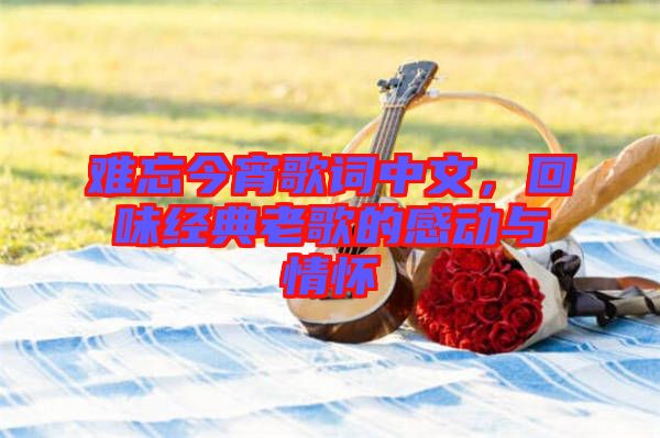 難忘今宵歌詞中文，回味經(jīng)典老歌的感動(dòng)與情懷