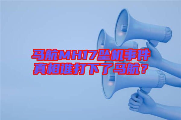 馬航MH17墜機(jī)事件真相誰打下了馬航？