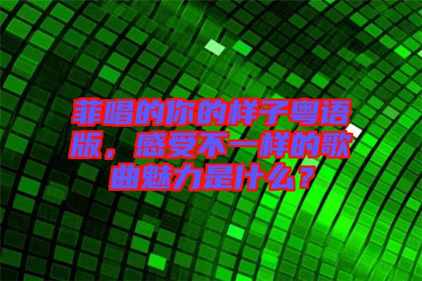 菲唱的你的樣子粵語(yǔ)版，感受不一樣的歌曲魅力是什么？