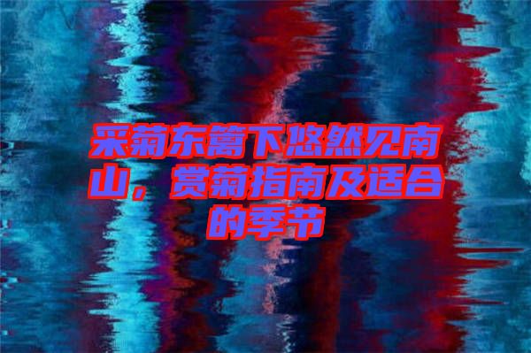 采菊東籬下悠然見南山，賞菊指南及適合的季節(jié)
