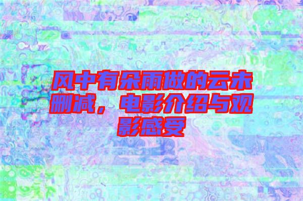 風中有朵雨做的云未刪減，電影介紹與觀影感受