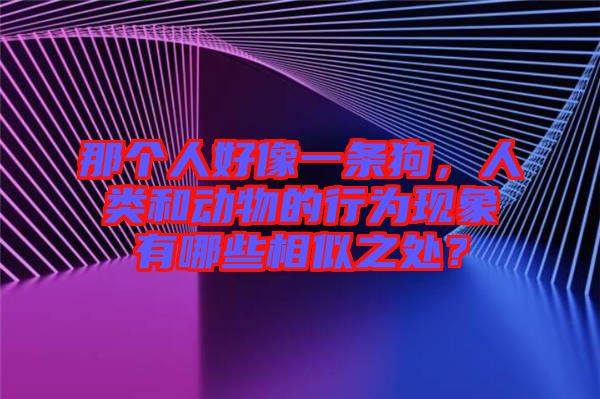 那個(gè)人好像一條狗，人類(lèi)和動(dòng)物的行為現(xiàn)象有哪些相似之處？
