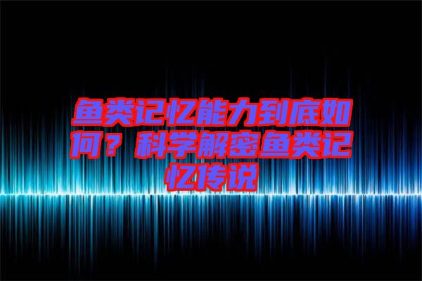 魚類記憶能力到底如何？科學(xué)解密魚類記憶傳說