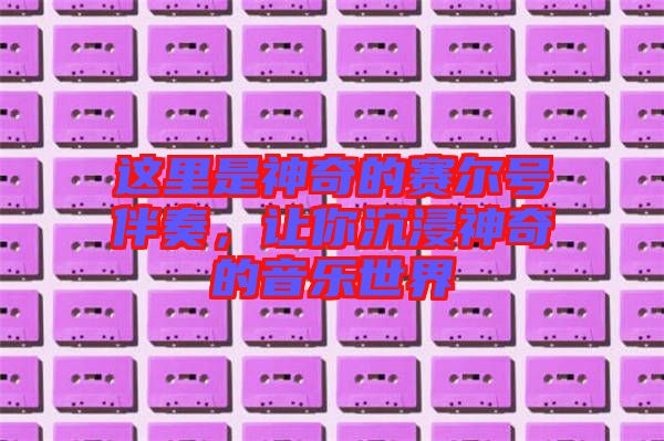 這里是神奇的賽爾號伴奏，讓你沉浸神奇的音樂世界
