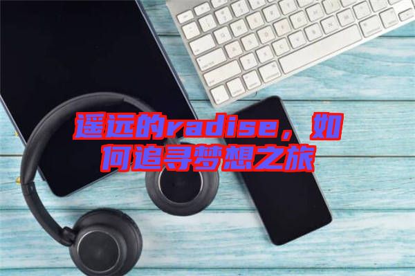 遙遠的radise，如何追尋夢想之旅