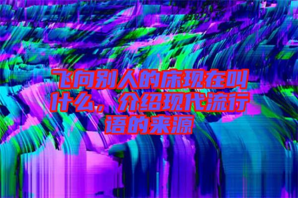 飛向別人的床現(xiàn)在叫什么，介紹現(xiàn)代流行語的來源