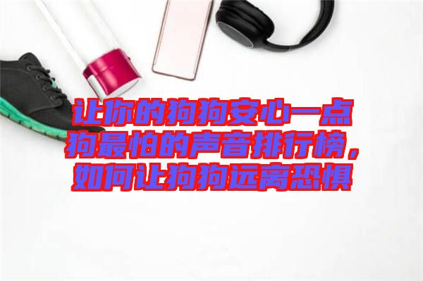 讓你的狗狗安心一點(diǎn)狗最怕的聲音排行榜，如何讓狗狗遠(yuǎn)離恐懼