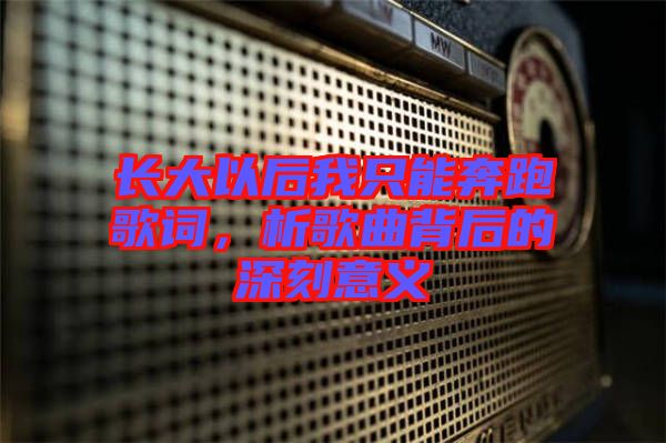 長大以后我只能奔跑歌詞，析歌曲背后的深刻意義