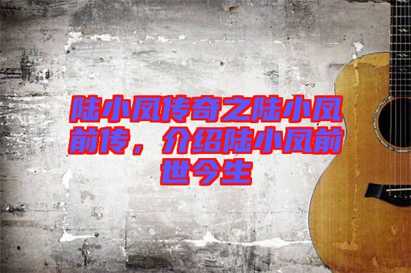 陸小鳳傳奇之陸小鳳前傳，介紹陸小鳳前世今生