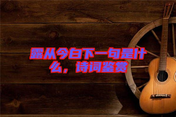 露從今白下一句是什么，詩(shī)詞鑒賞