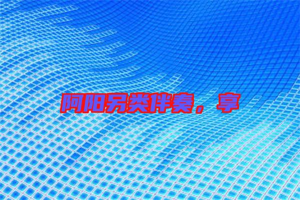阿陽(yáng)另類(lèi)伴奏，享